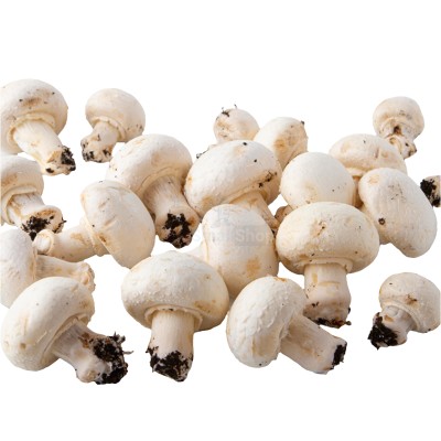 Шампиньоны свежие 500 г - купить в Кырте